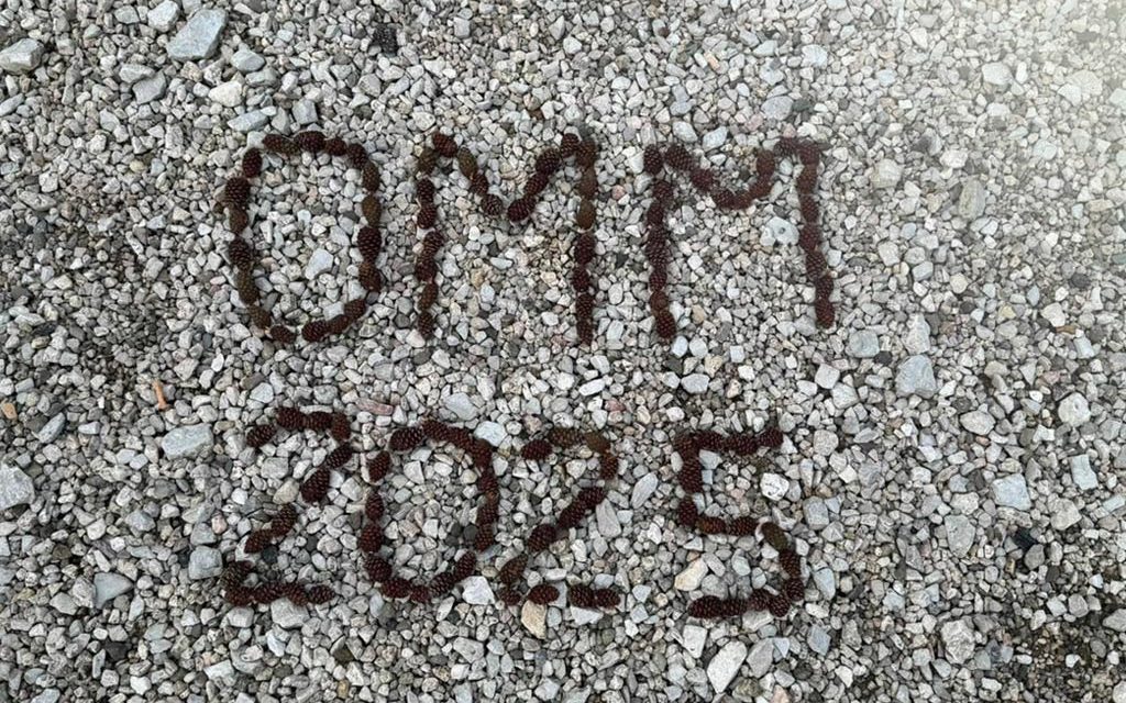 One Minute Manager 2025: l’evento di team building di Venicecom